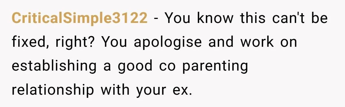 CriticalSimple3122 − You know this can't be fixed, right? You apologise and work on establishing a good co parenting relationship with your ex.