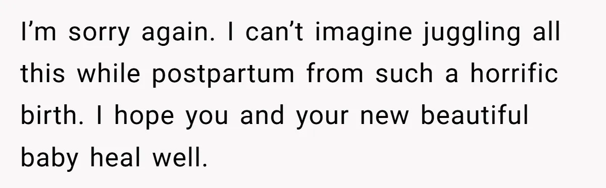 I’m sorry again. I can’t imagine juggling all this while postpartum from such a horrific birth. I hope you and your new beautiful baby heal well.