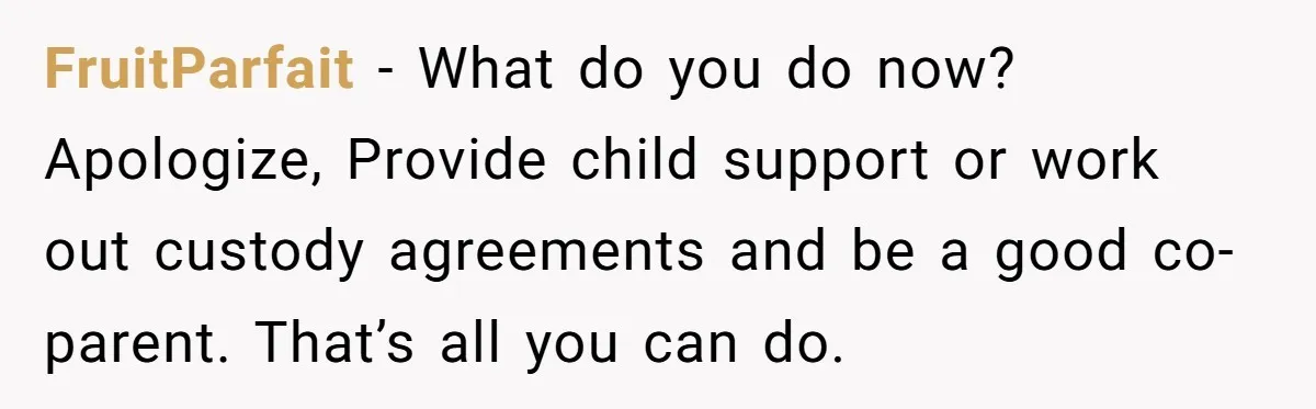FruitParfait − What do you do now? Apologize, Provide child support or work out custody agreements and be a good co-parent. That’s all you can do.