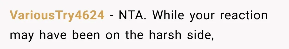 VariousTry4624 − NTA. While your reaction may have been on the harsh side,