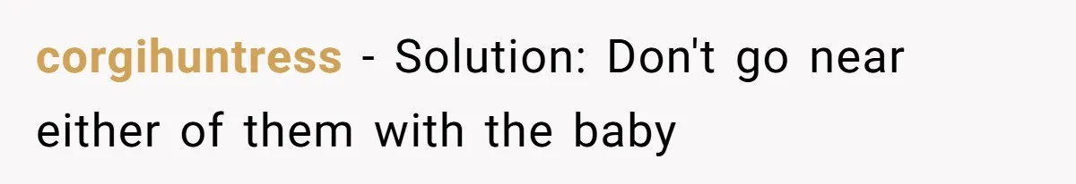 corgihuntress − Solution: Don't go near either of them with the baby