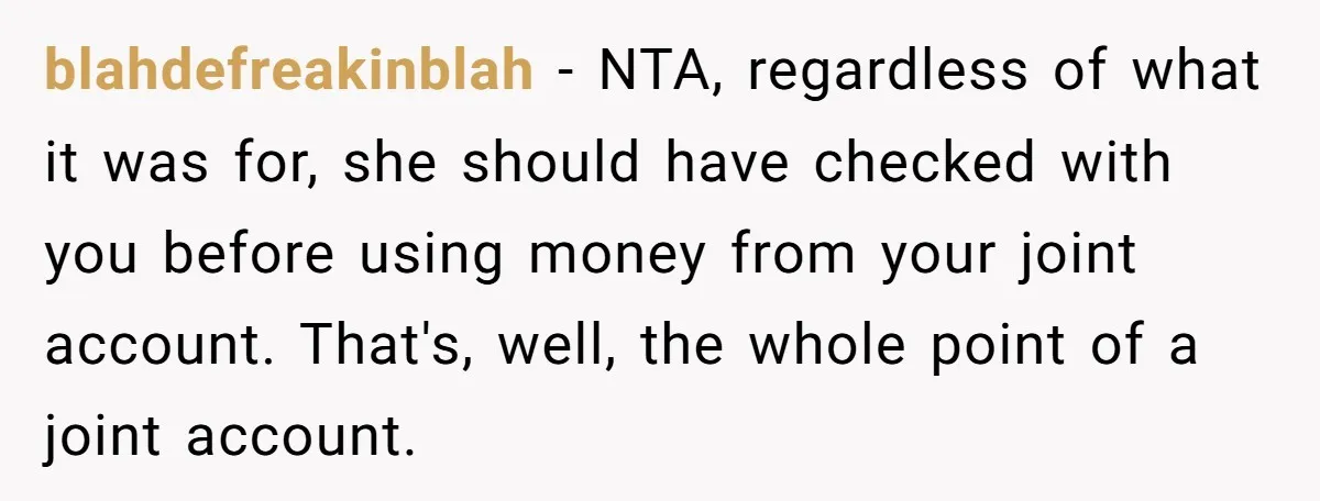 blahdefreakinblah − NTA, regardless of what it was for, she should have checked with you before using money from your joint account. That's, well, the whole point of a joint...