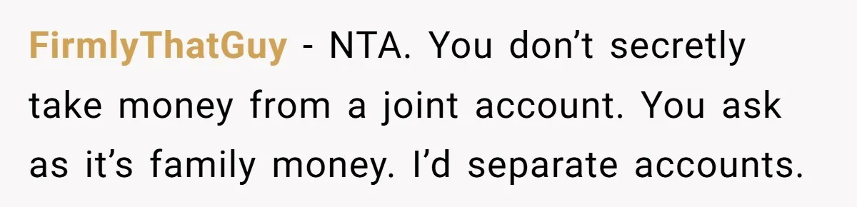 FirmlyThatGuy − NTA. You don’t secretly take money from a joint account. You ask as it’s family money. I’d separate accounts.