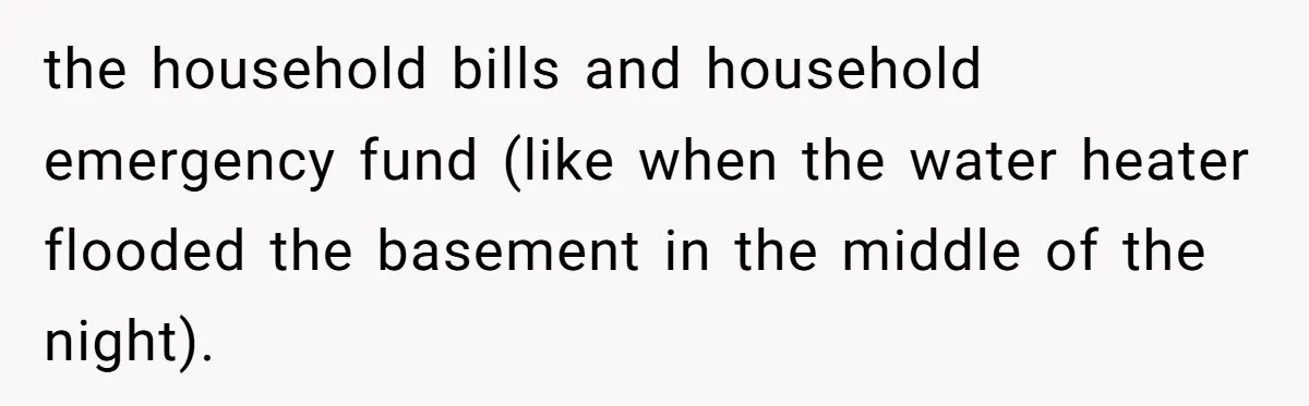 the household bills and household emergency fund (like when the water heater flooded the basement in the middle of the night).