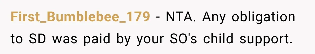 First_Bumblebee_179 − NTA. Any obligation to SD was paid by your SO's child support.