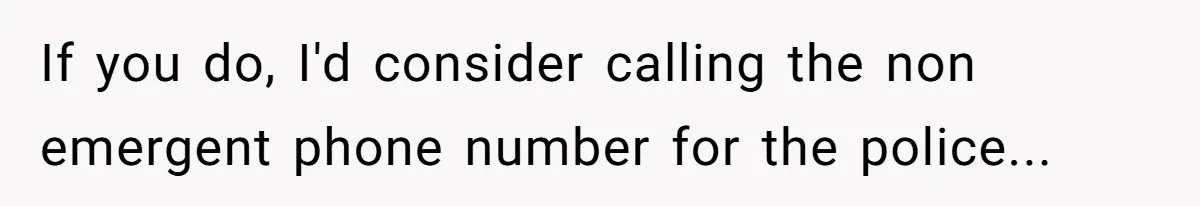 If you do, I'd consider calling the non emergent phone number for the police...