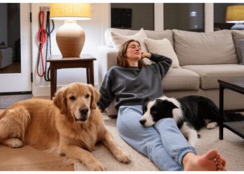 Woman Asks If She’s Wrong for Wanting to Stay Home With Her Dogs Instead of Her Boyfriend’s House Woman Asks If She’s Wrong for Wanting to Stay Home With Her Dogs Instead of Her Boyfriend’s House