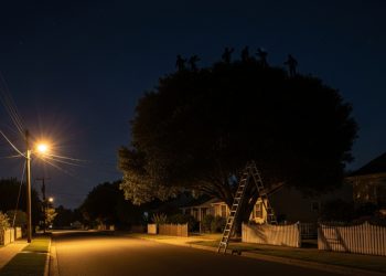 A Supermarket Worker Taught This Rowdy Group of Students a Lesson in Respect and Gravity