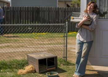 Karen Sprays Weed Killer On Neighbor’s Yard, Leaves Dead Rabbits And A Legal Nightmare