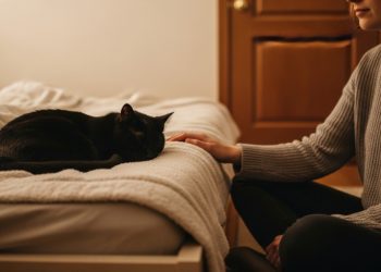 “Your Cat Hurt My Child”: When a Playdate Goes Wrong and Ends a Friendship