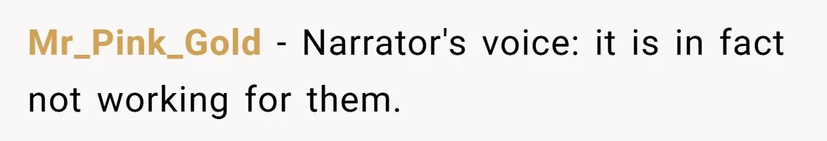 Mr_Pink_Gold − Narrator's voice: it is in fact not working for them.