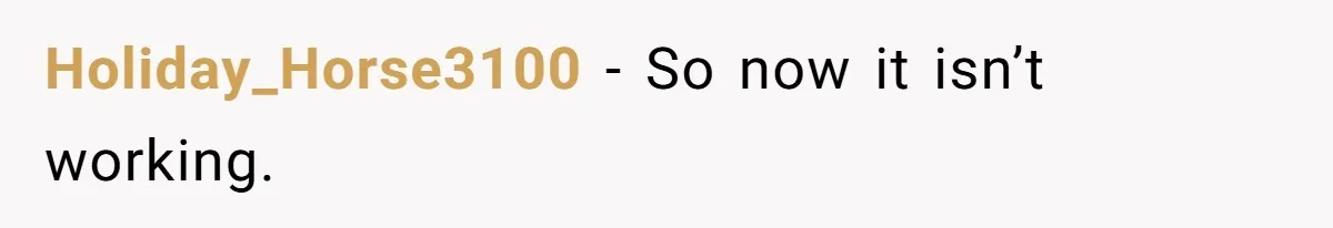 Holiday_Horse3100 − So now it isn’t working.