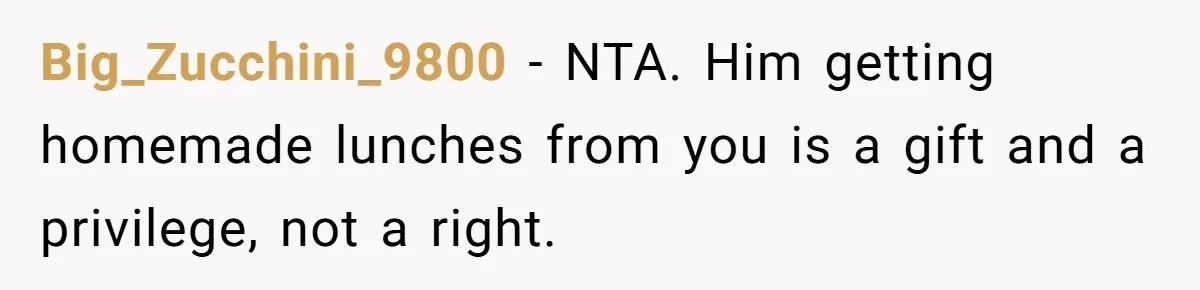 Big_Zucchini_9800 − NTA. Him getting homemade lunches from you is a gift and a privilege, not a right.