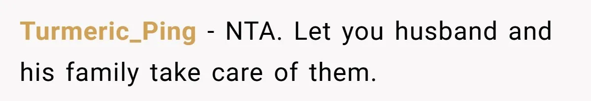 Turmeric_Ping − NTA. Let you husband and his family take care of them.