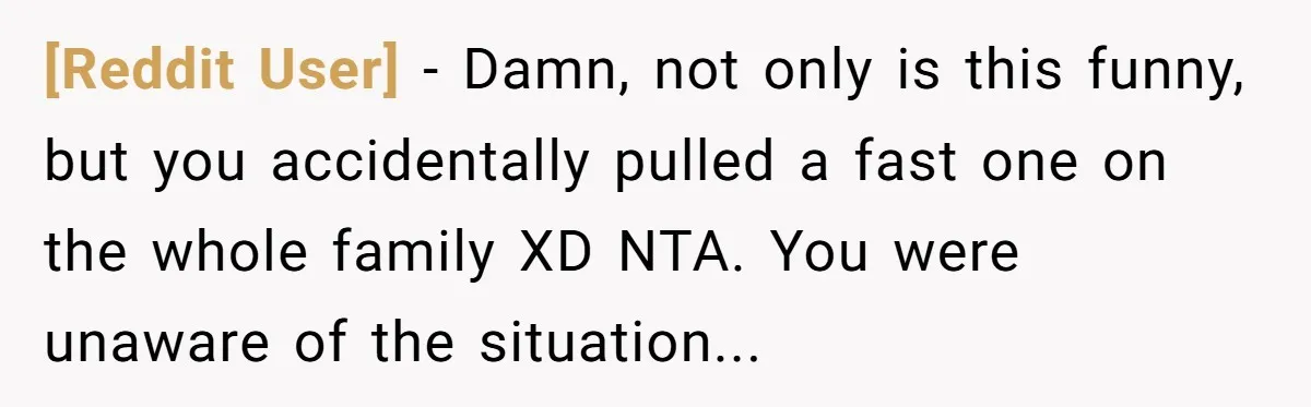 [Reddit User] − Damn, not only is this funny, but you accidentally pulled a fast one on the whole family XD NTA. You were unaware of the situation...