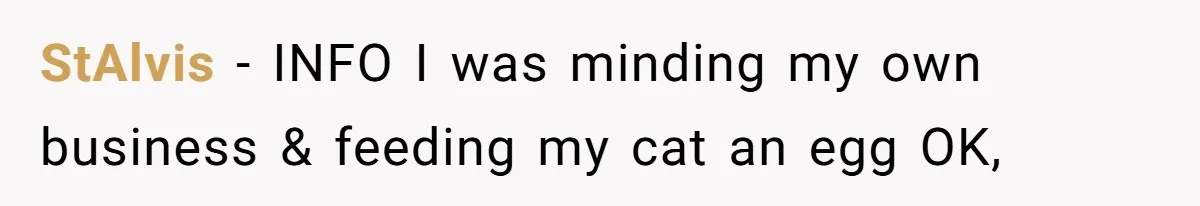 StAlvis − INFO I was minding my own business & feeding my cat an egg OK,