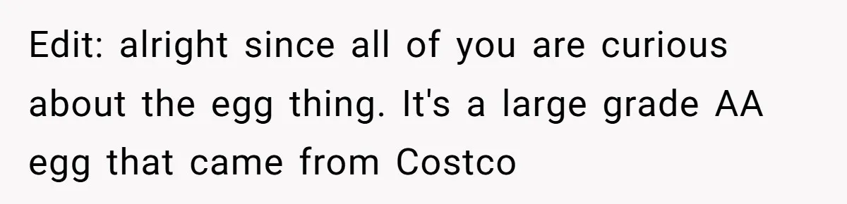 Edit: alright since all of you are curious about the egg thing. It's a large grade AA egg that came from Costco