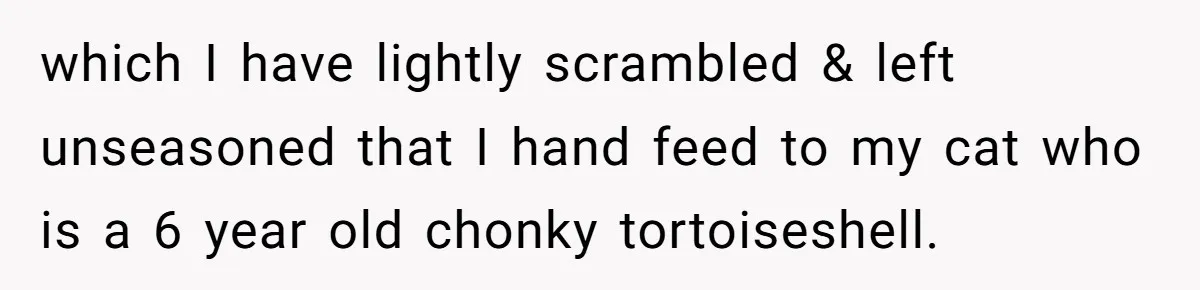 which I have lightly scrambled & left unseasoned that I hand feed to my cat who is a 6 year old chonky tortoiseshell.
