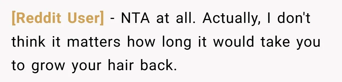 [Reddit User] − NTA at all. Actually, I don't think it matters how long it would take you to grow your hair back.