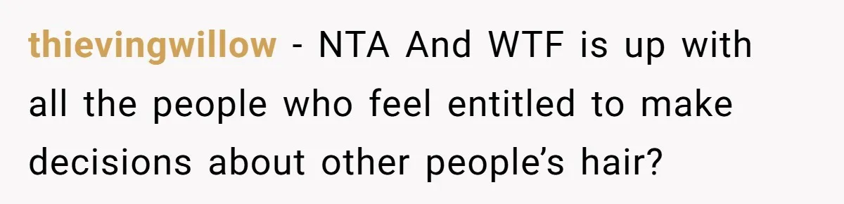 thievingwillow − NTA And WTF is up with all the people who feel entitled to make decisions about other people’s hair?
