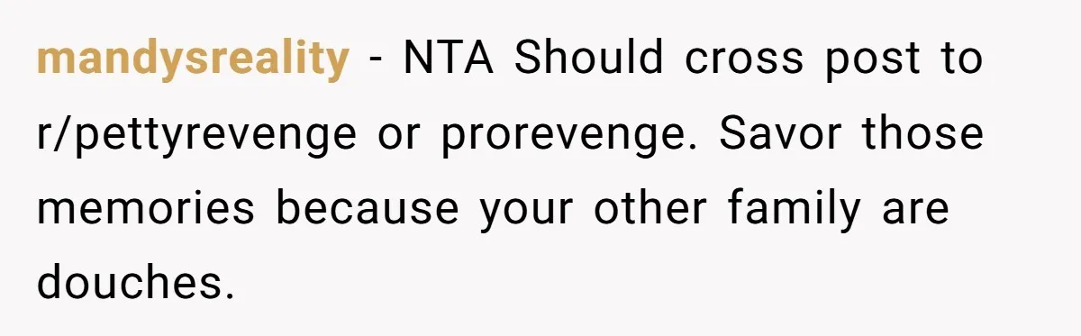 mandysreality − NTA Should cross post to r/pettyrevenge or prorevenge. Savor those memories because your other family are douches.