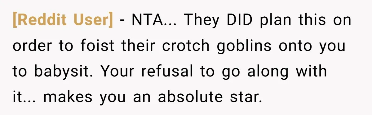 [Reddit User] − NTA... They DID plan this on order to foist their crotch goblins onto you to babysit. Your refusal to go along with it... makes you an absolute...