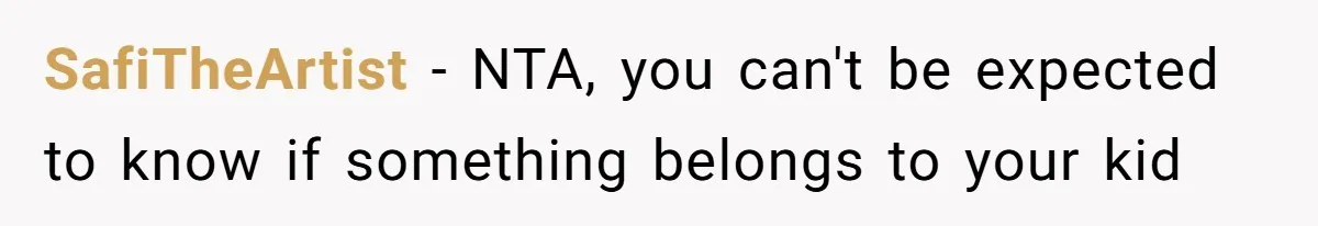 SafiTheArtist − NTA, you can't be expected to know if something belongs to your kid