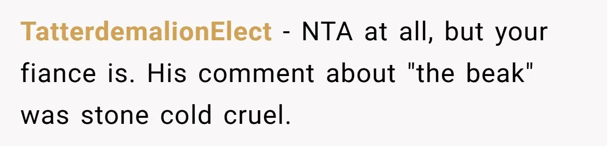 TatterdemalionElect − NTA at all, but your fiance is. His comment about "the beak" was stone cold cruel.