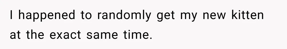 I happened to randomly get my new kitten at the exact same time.