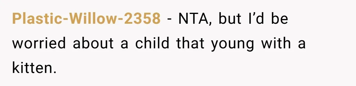 Plastic-Willow-2358 − NTA, but I’d be worried about a child that young with a kitten.