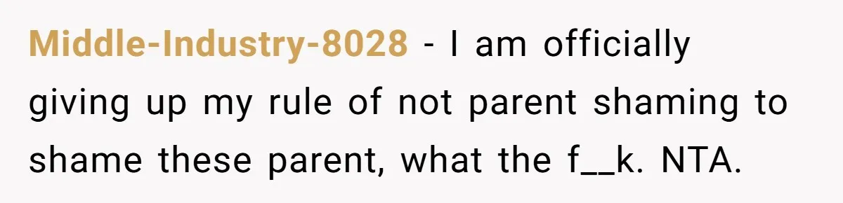 Middle-Industry-8028 − I am officially giving up my rule of not parent shaming to shame these parent, what the f__k. NTA.
