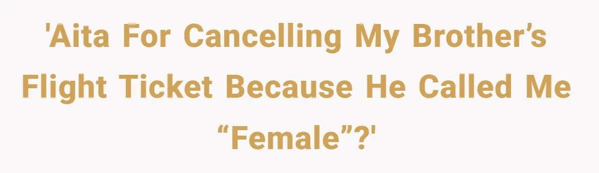 'AITA for cancelling my brother’s flight ticket because he called me “female”?'