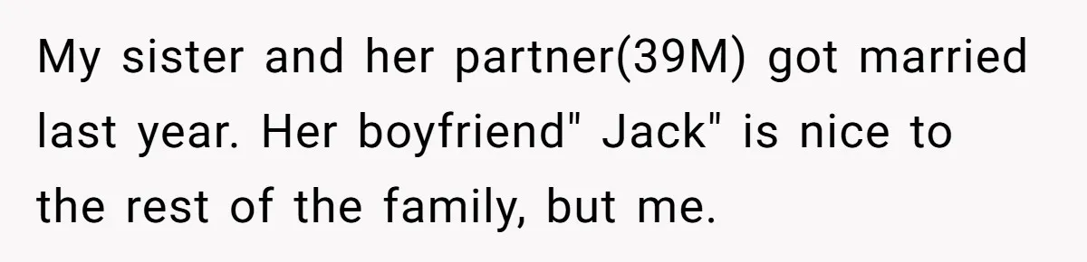 My sister and her partner(39M) got married last year. Her boyfriend" Jack" is nice to the rest of the family, but me.