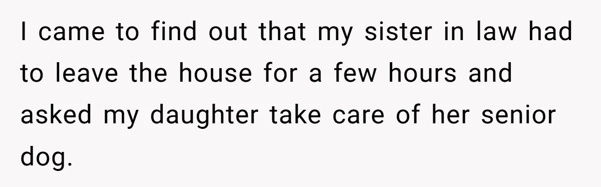 I came to find out that my sister in law had to leave the house for a few hours and asked my daughter take care of her senior dog.