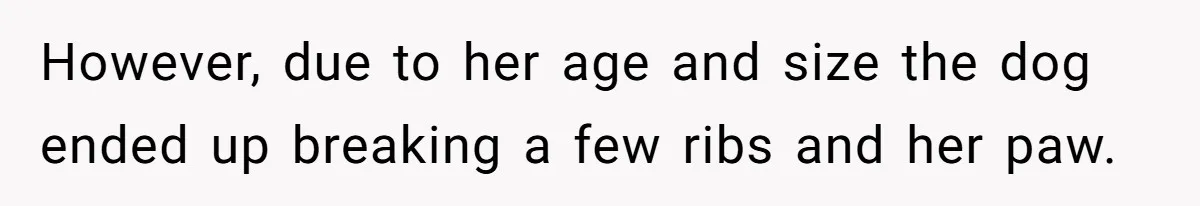 However, due to her age and size the dog ended up breaking a few ribs and her paw.