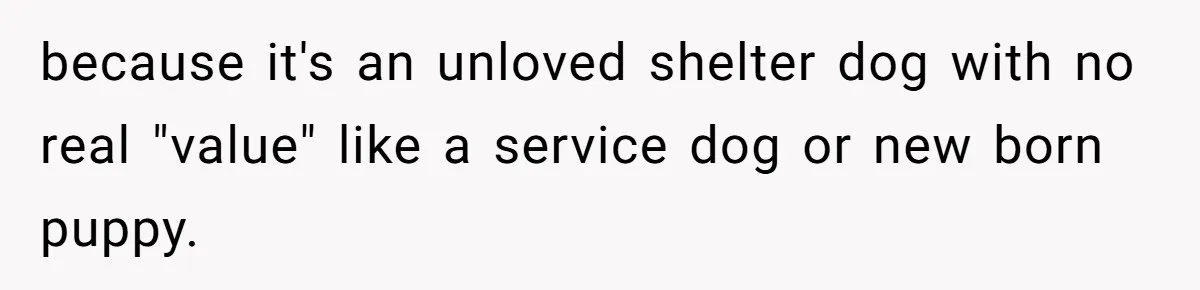 because it's an unloved shelter dog with no real "value" like a service dog or new born puppy.