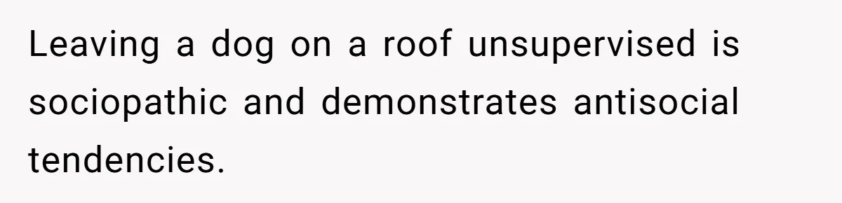 Leaving a dog on a roof unsupervised is sociopathic and demonstrates antisocial tendencies.