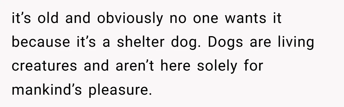 it’s old and obviously no one wants it because it’s a shelter dog. Dogs are living creatures and aren’t here solely for mankind’s pleasure.