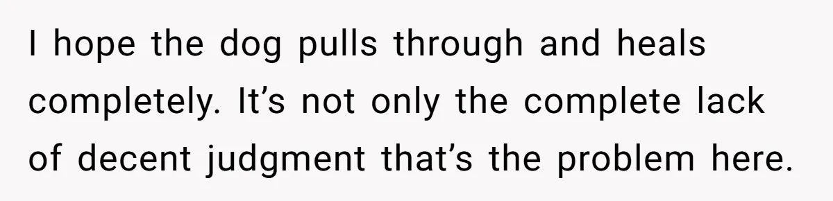 I hope the dog pulls through and heals completely. It’s not only the complete lack of decent judgment that’s the problem here.