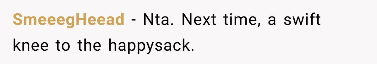 SmeeegHeead − Nta. Next time, a swift knee to the happysack.