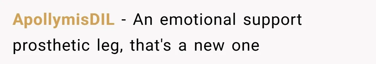 ApollymisDIL − An emotional support prosthetic leg, that's a new one
