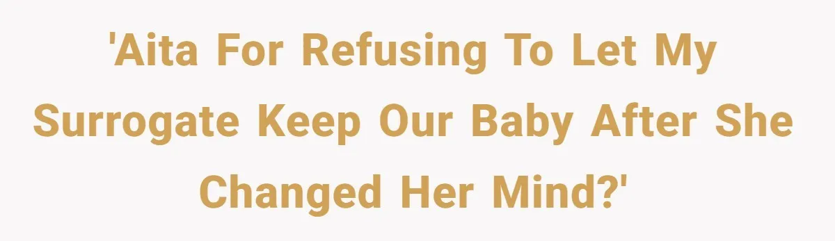 'AITA for Refusing to Let My Surrogate Keep Our Baby After She Changed Her Mind?'