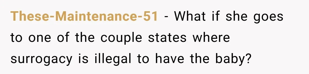 These-Maintenance-51 − What if she goes to one of the couple states where surrogacy is illegal to have the baby?