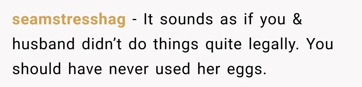seamstresshag − It sounds as if you & husband didn’t do things quite legally. You should have never used her eggs.
