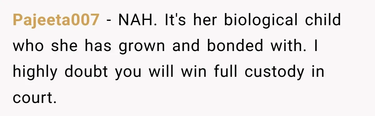 Pajeeta007 − NAH. It's her biological child who she has grown and bonded with. I highly doubt you will win full custody in court.