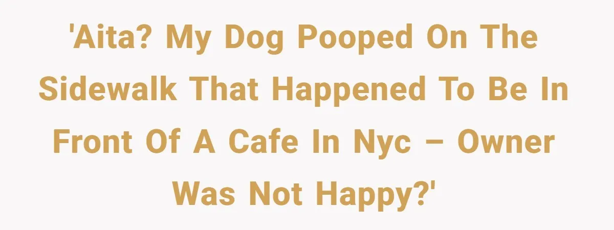 Dog Poops On NYC Sidewalk, Café Owner Comes Out Furious, Owner Says It’s Public Space 'AITA? My dog pooped on the sidewalk that happened to be in front of a cafe in NYC – Owner was not happy?'
