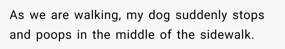 Dog Poops On NYC Sidewalk, Café Owner Comes Out Furious, Owner Says It’s Public Space As we are walking, my dog suddenly stops and poops in the middle of the sidewalk.