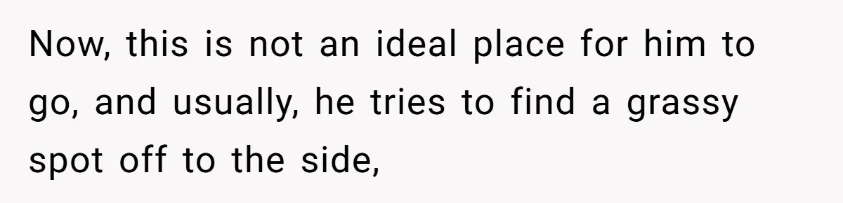 Dog Poops On NYC Sidewalk, Café Owner Comes Out Furious, Owner Says It’s Public Space Now, this is not an ideal place for him to go, and usually, he tries to find a grassy spot off to the side,