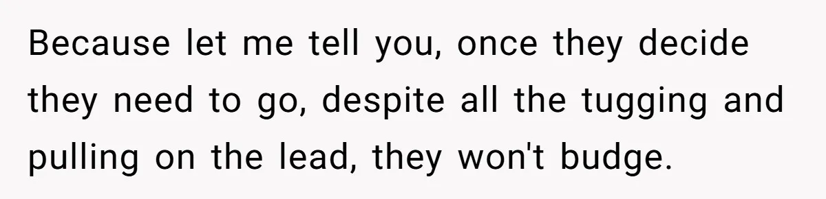 Dog Poops On NYC Sidewalk, Café Owner Comes Out Furious, Owner Says It’s Public Space Because let me tell you, once they decide they need to go, despite all the tugging and pulling on the lead, they won't budge.