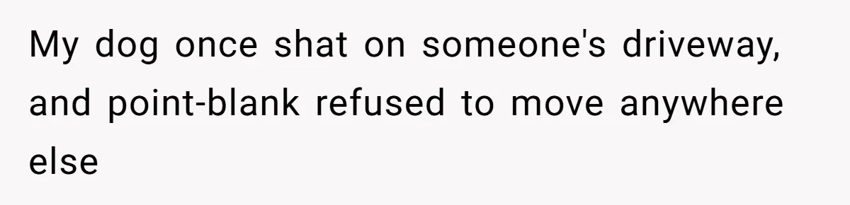 Dog Poops On NYC Sidewalk, Café Owner Comes Out Furious, Owner Says It’s Public Space My dog once shat on someone's driveway, and point-blank refused to move anywhere else